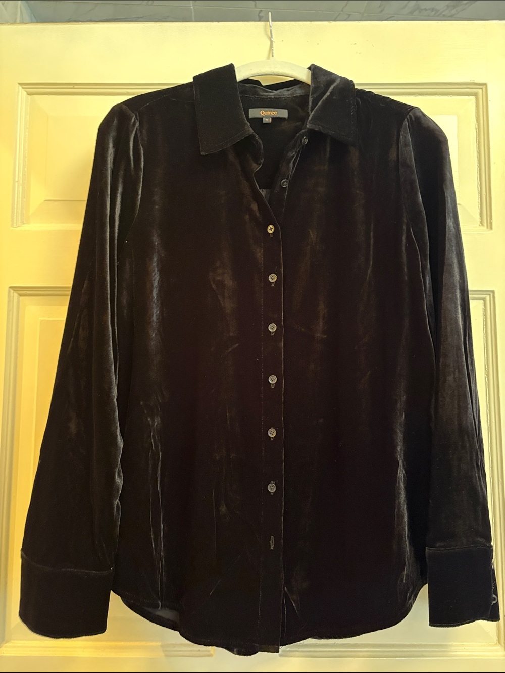 Quince Black Velvet Button-Down Shirt